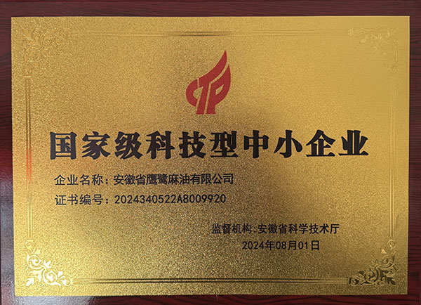 國 家級科技型中小企業(yè)